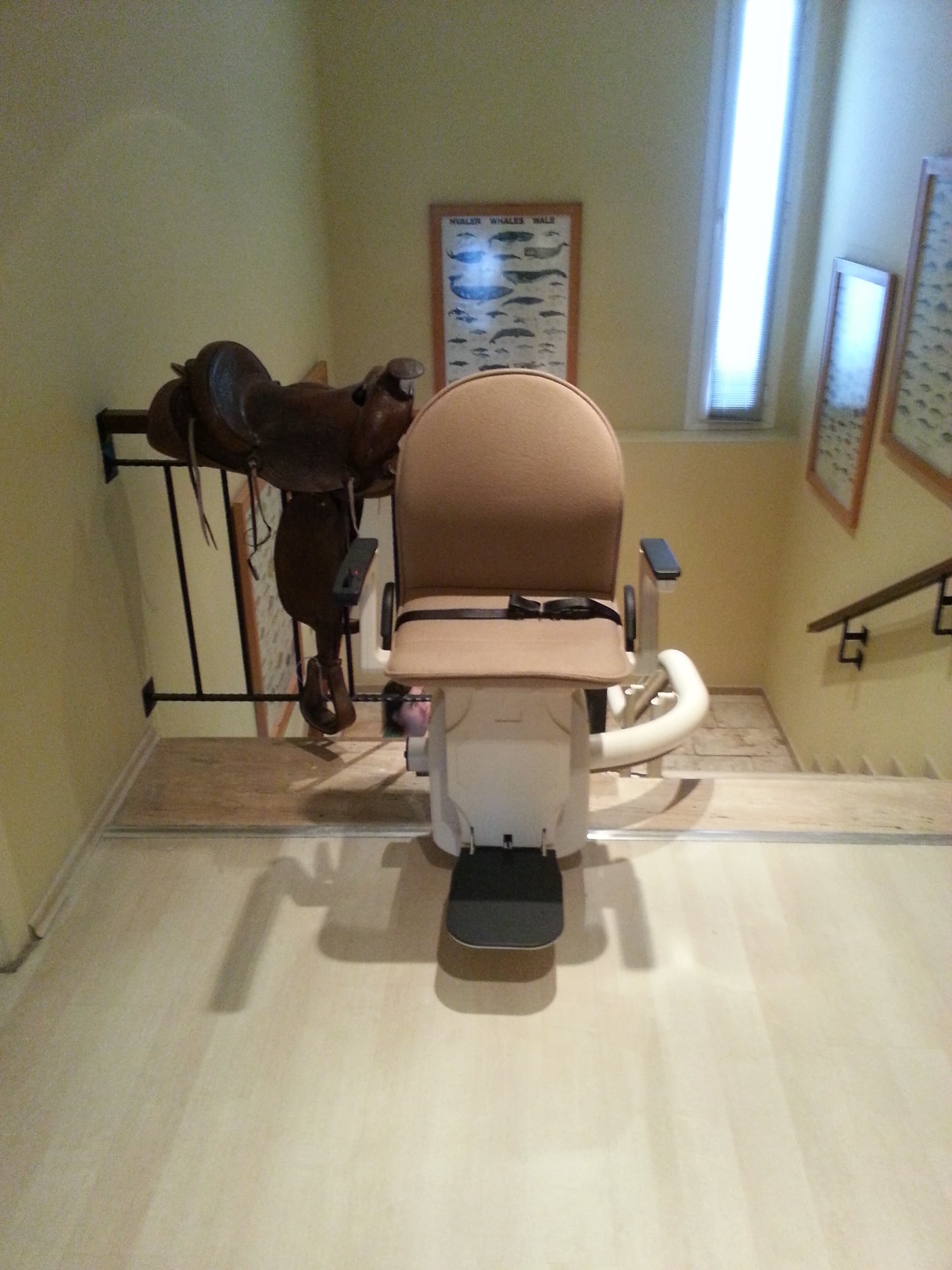 Mevcut Asansör Yenileme